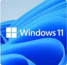 install-windows